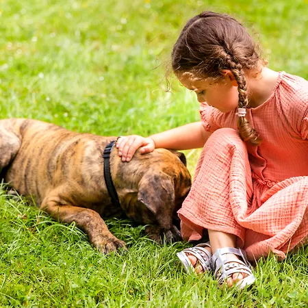 Mercure Nord Готель 4*