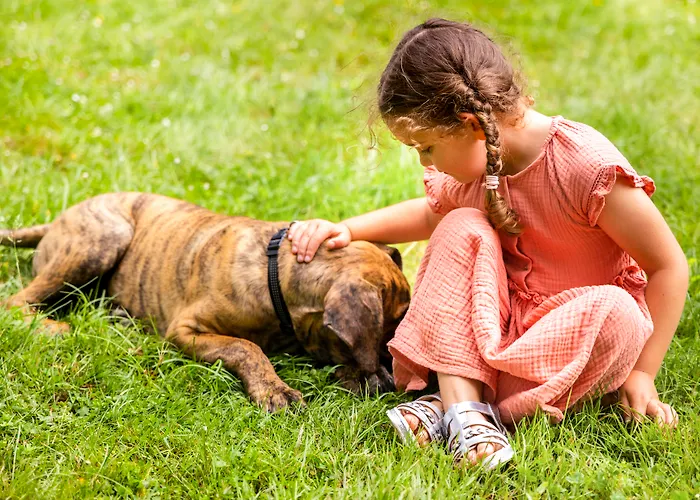 Mercure Nord Otel 4*